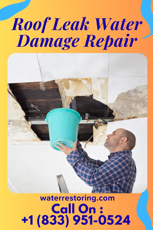 Roof Leak Water Damage Repair in Camden, SC